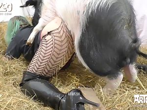 Free animal fuck video. Pig and woman have sex at farm