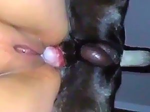 Homemade dog creampie