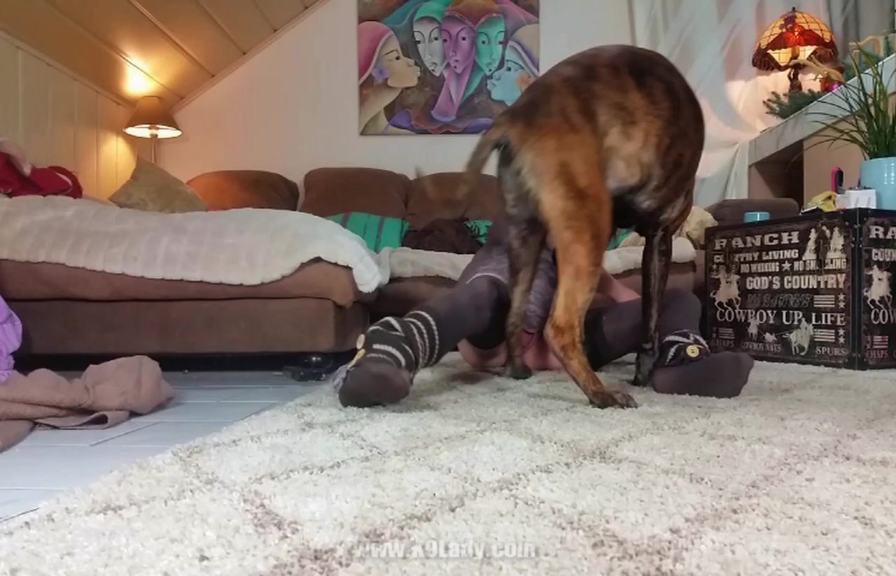 Granny and dog porn