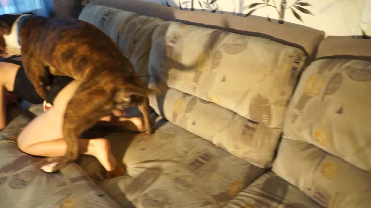 Zooporn anal