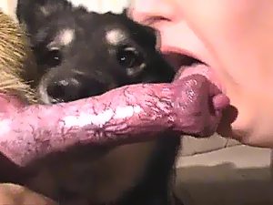 Wife dog porn