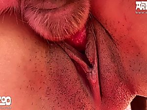 Public animal porn