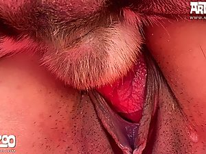 Public animal porn