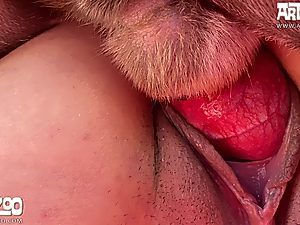 Public animal porn