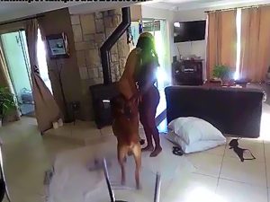 Dog fucks black woman