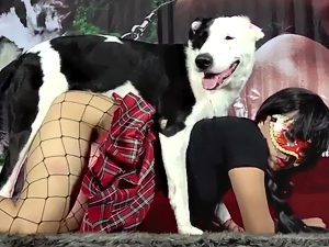 Asian dog sex